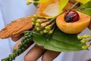 Sansibar: Private Gewürzfarm- & Stone Town-Tour mit Guide