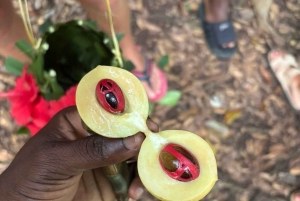 Sansibar: Private Gewürzfarm- & Stone Town-Tour mit Guide