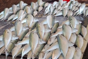 Sansibar: Private Gewürzfarm- & Stone Town-Tour mit Guide