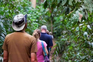 Zanzibar: privé rondleiding op een kruidenboerderij met een lokale gids.
