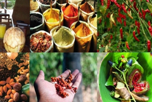 Zanzibar: privé rondleiding op een kruidenboerderij met een lokale gids.