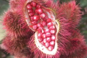 Zanzibar: privé rondleiding op een kruidenboerderij met een lokale gids.