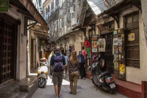 Zanzibar: visita privata a una fattoria di spezie e tour guidato di Stone Town