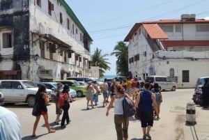 Zanzibar: visita privata a una fattoria di spezie e tour guidato di Stone Town