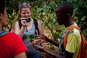Zanzibar: visita privata a una fattoria di spezie e tour guidato di Stone Town