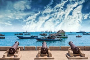 Zanzibar: visita privata a una fattoria di spezie e tour guidato di Stone Town