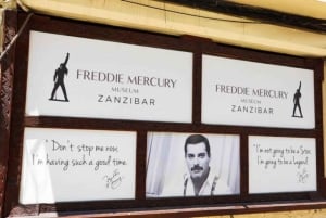 Zanzibar: visita privata a una fattoria di spezie e tour guidato di Stone Town