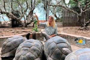 Zanzibar: Private Stone Town and Prison Island Tour