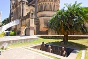 Zanzibar: Private Stone Town and Prison Island Tour