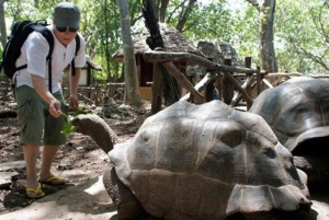 Sansibar: Private Tour durch Stone Town & Prison Island.
