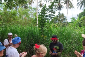 Zanzibar: Private Stone Town, Spice Farm & Rock Restaurant