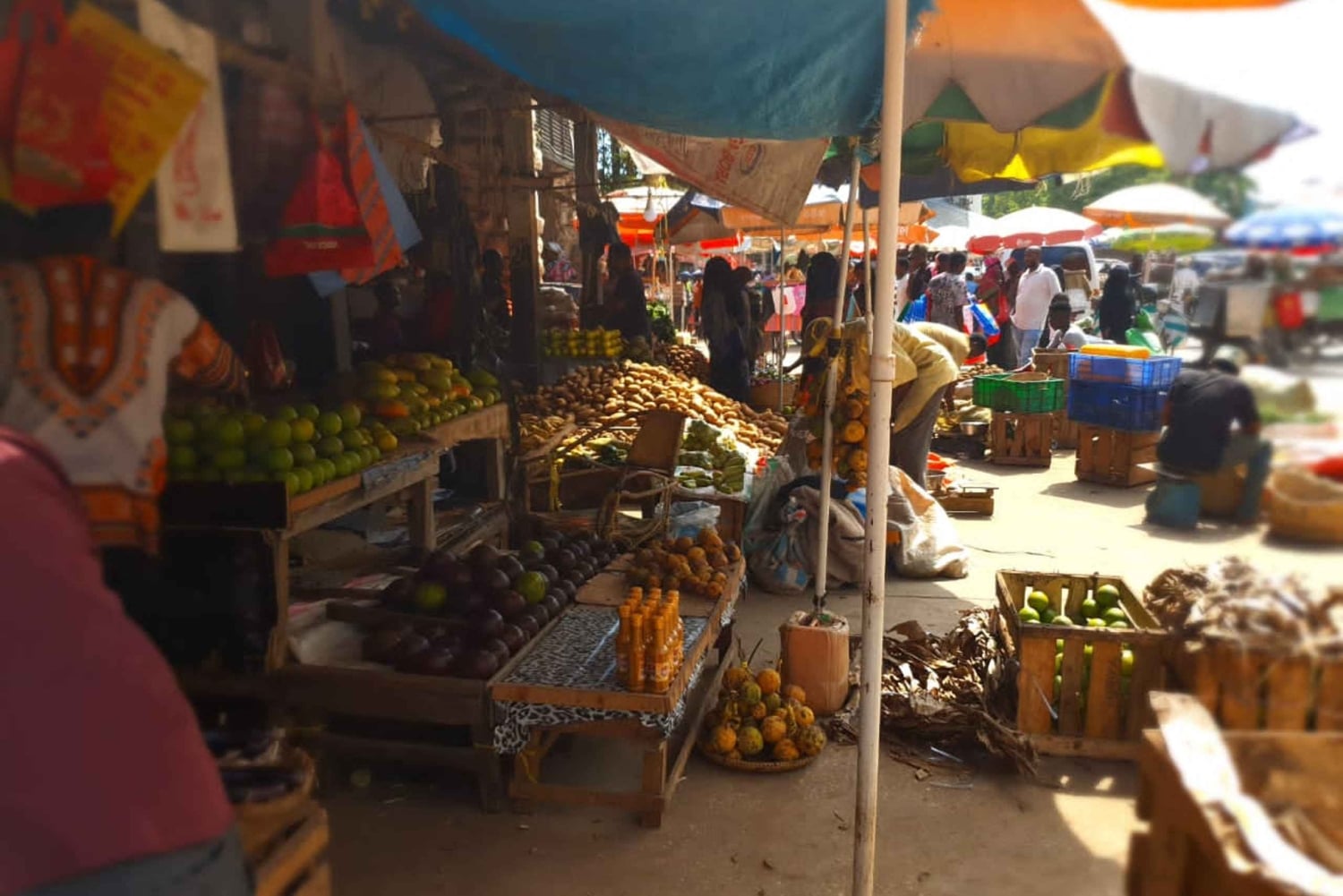 Zanzibar: Privat vandringstur i stenstaden