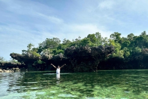 ザンジバル：プングメ島 終日ツアー、シュノーケリングとBBQランチ付き