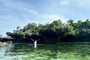 ザンジバル：プングメ島 終日ツアー、シュノーケリングとBBQランチ付き