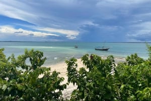 ザンジバル：プングメ島 終日ツアー、シュノーケリングとBBQランチ付き