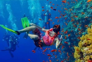 Sansibar: Pungume Island Delfin- und Schnorchel-Tour