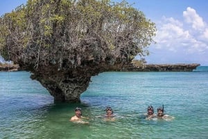 Sansibar: Pungume Island Delfin- und Schnorchel-Tour