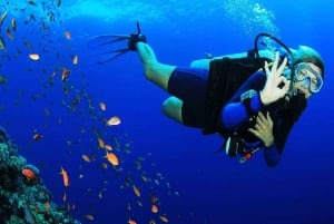 Zanzibar: Pungume Island – delfinsafari – BBQ-lunch