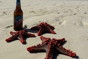 ZANZIBAR: Snorkling på Pungume Island og sandbank + grill