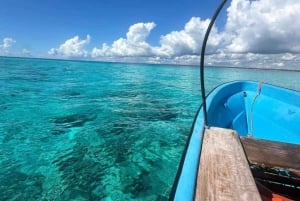 ZANZIBAR: Snorkling på Pungume Island og sandbank + grill
