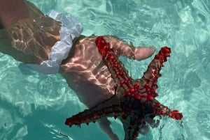 Zanzibar: Pungume Island Snorkeling & Sandbank with Lunch