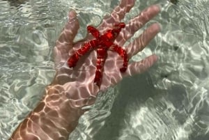 Zanzibar: Pungume Island Snorkeling & Sandbank with Lunch