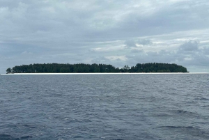 Zanzibar: Pungume Island tour and snorkeling with BBQ Lunch