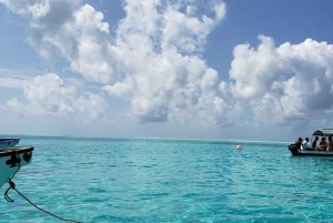 Zanzibar: Pungume Island tour and snorkeling with BBQ Lunch