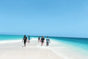 Zanzibar: Pungume Island Tour med sjømat lunsj