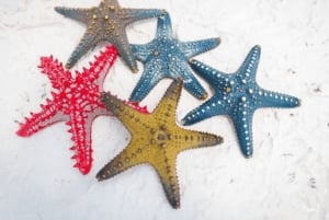 Zanzibar: Pungume Island Tour med sjømat lunsj