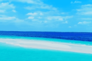 Zanzibar: Pungume Island Tour med sjømat lunsj