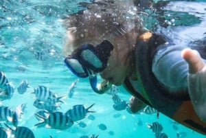Zanzibar: Pungume Private Safari Blue Picnic