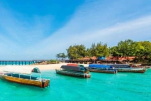 Zanzibar: Pungume Private Safari Blue Picnic