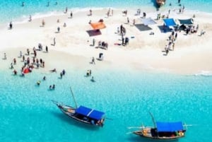 Zanzibar: Pungume Private Safari Blue Picnic