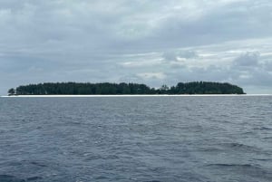 Zanzibar: excursão à Ilha Pungume e mergulho com snorkel com almoço de churrasco