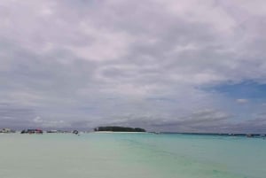 Zanzibar: excursão à Ilha Pungume e mergulho com snorkel com almoço de churrasco