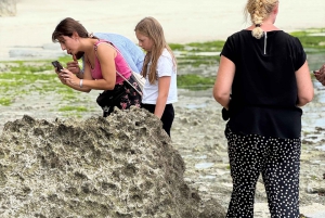 Zanzibar : Aventures en quad au nord de Zanzibar