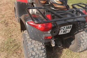 Zanzibar: Mönkijäsafari hotellin nouto