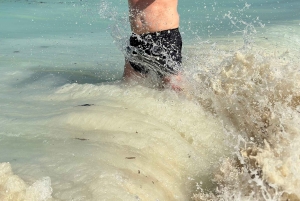 ザンジバル：サンセット付きクワッドバイクアドベンチャー（送迎付き）