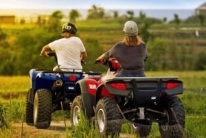 ザンジバル：クワッドバイク・アドベンチャー