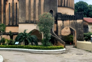 Zanzibar: Quad Bike-eventyr