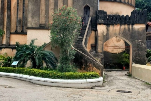 Zanzibar: Quad Bike-eventyr