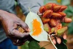 Zanzibar: avventura in quad e tour della grotta swahili