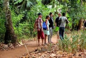 Zanzibar: avventura in quad e tour della grotta swahili