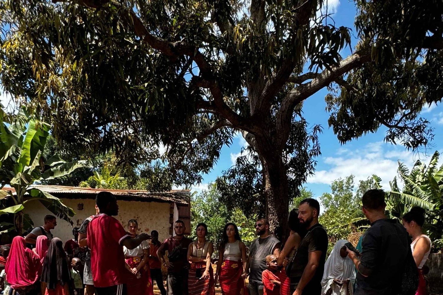 Zanzibar: Firhjuling fra Kendwa eller Nungwi