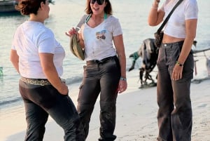 Zanzibar: Firhjuling fra Kendwa eller Nungwi