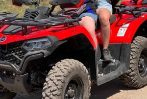 Zanzibar: Firhjuling fra Kendwa eller Nungwi