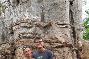 Zanzibar: Firhjuling fra Kendwa eller Nungwi