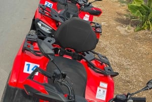 Zanzibar: Firhjuling fra Kendwa eller Nungwi