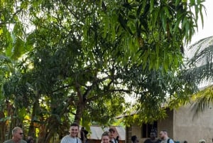 Zanzibar: Firhjuling fra Kendwa eller Nungwi